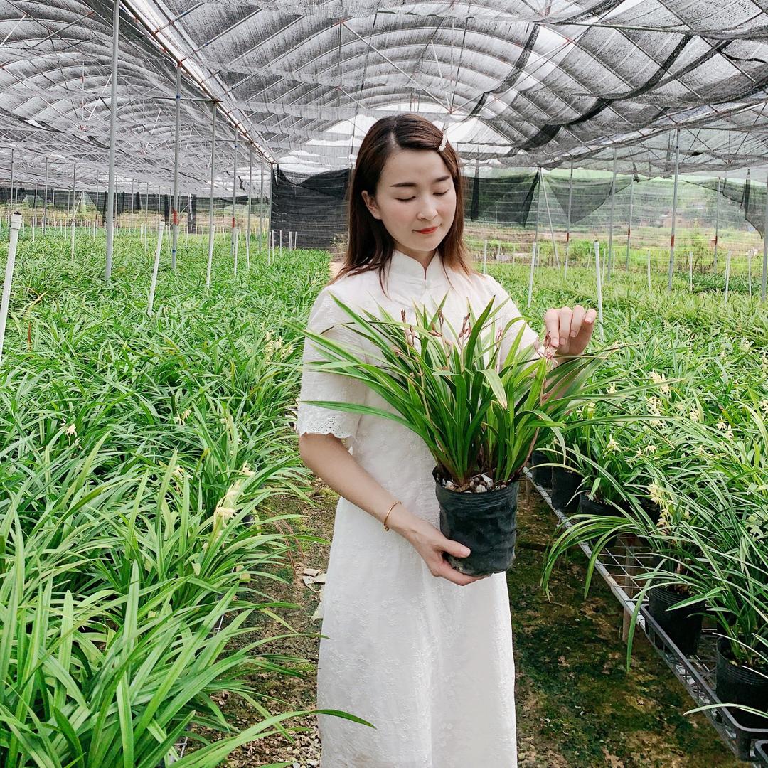 大粤北兰业(只卖好货)