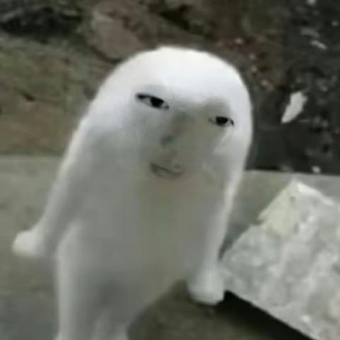 FFFeng