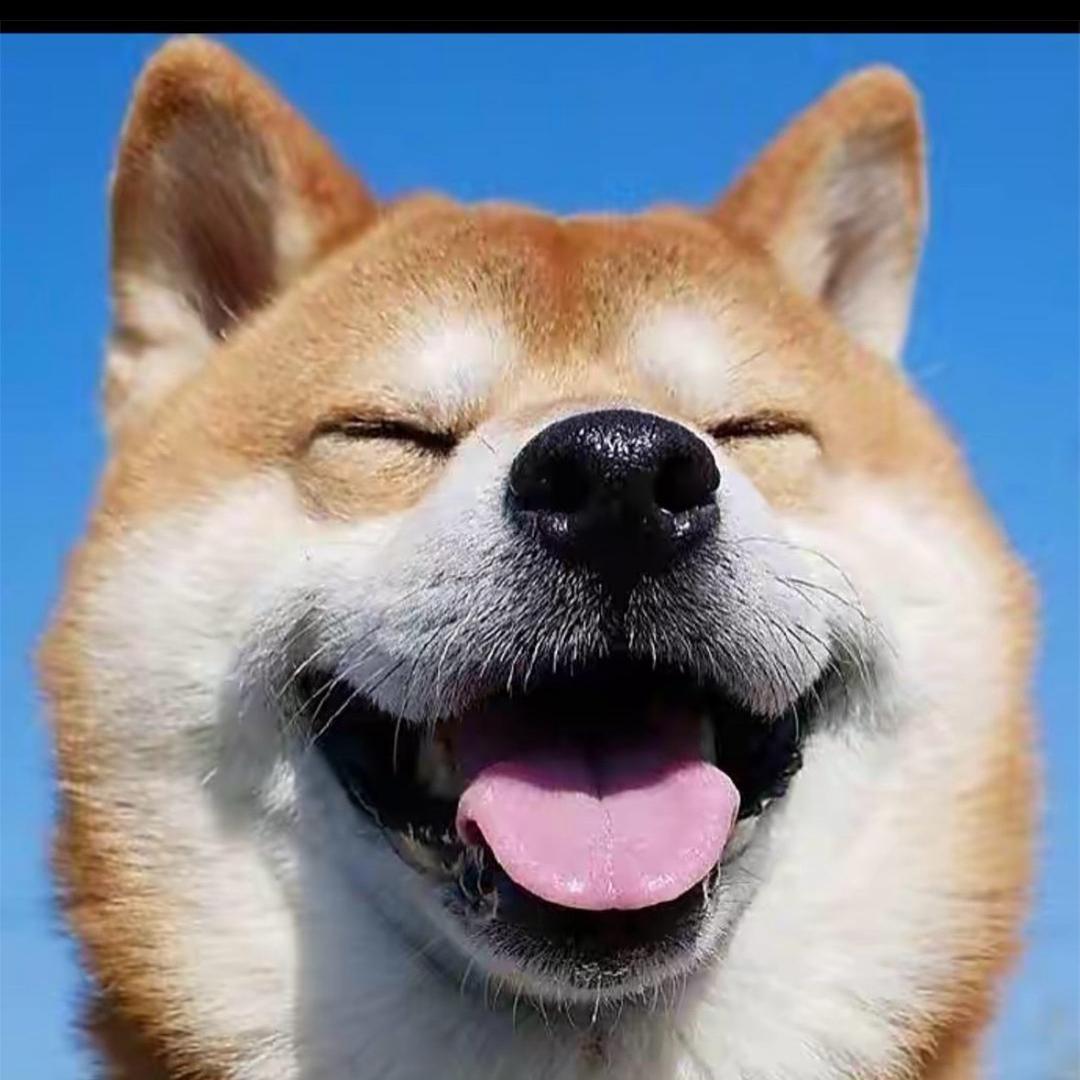 大梦睡不醒