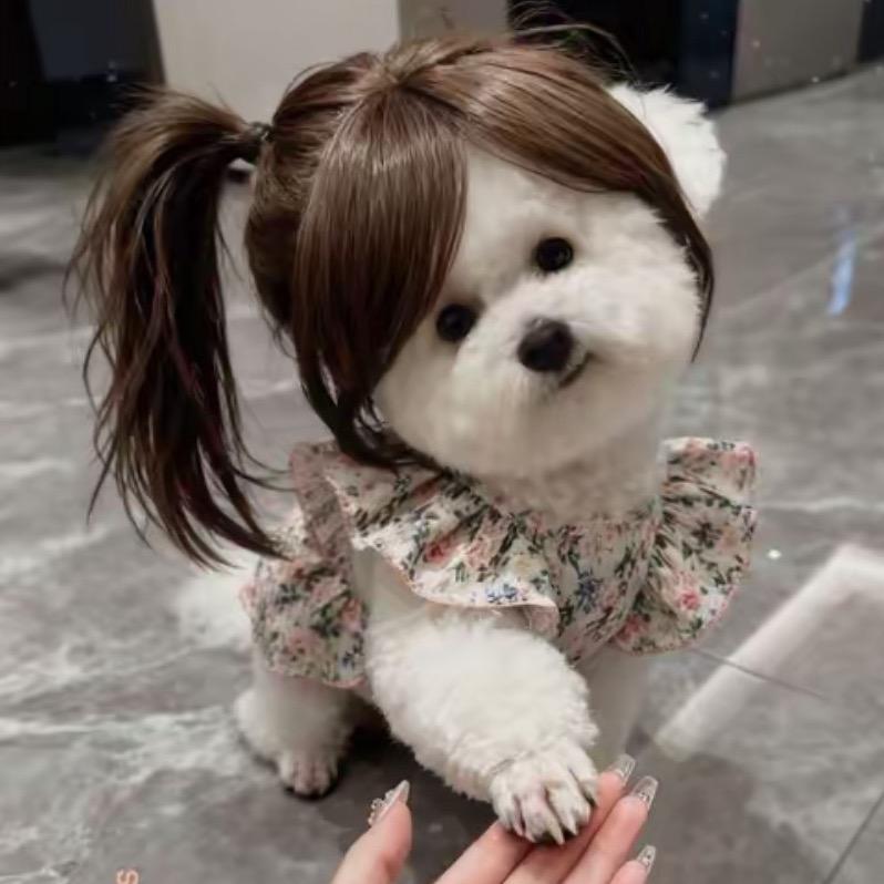 不说
