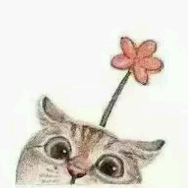 爱吃屎的小胖狗