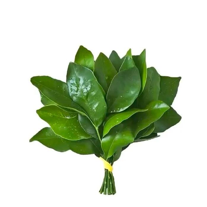 财神偏爱的小宝贝