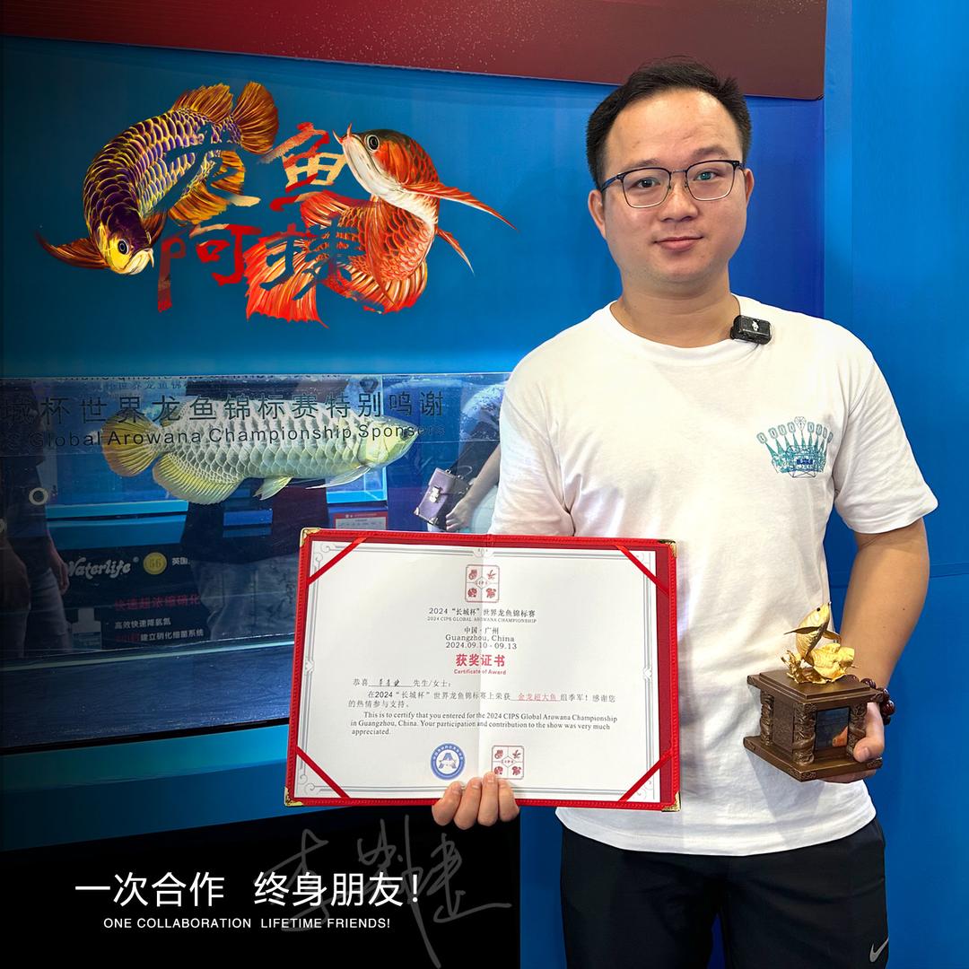 龙鱼阿捷的日常