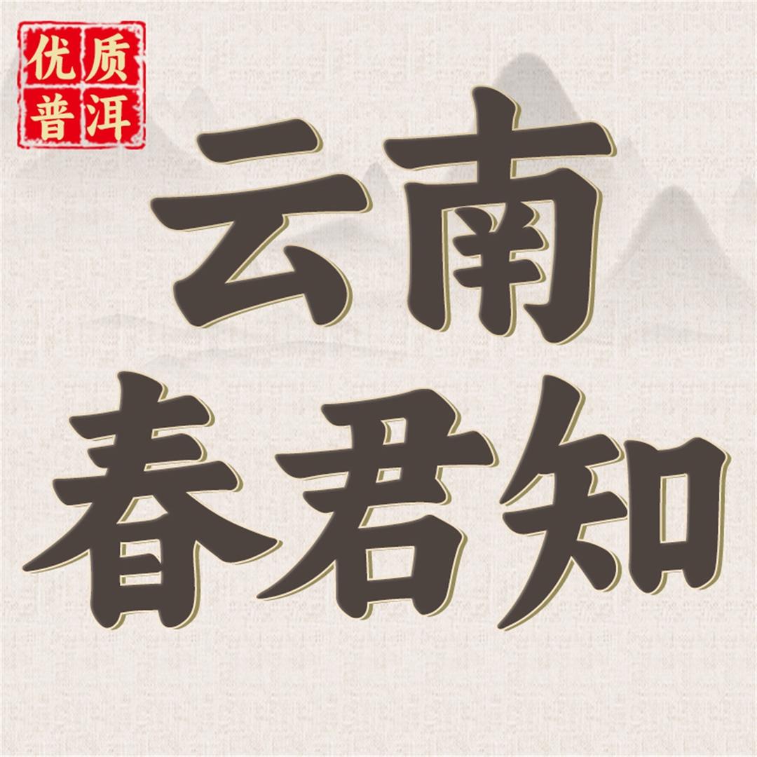 云南春君知优质普洱茶