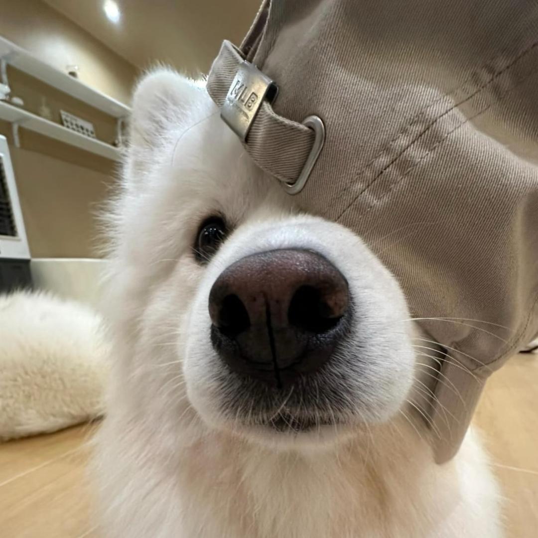 想睡一觉-