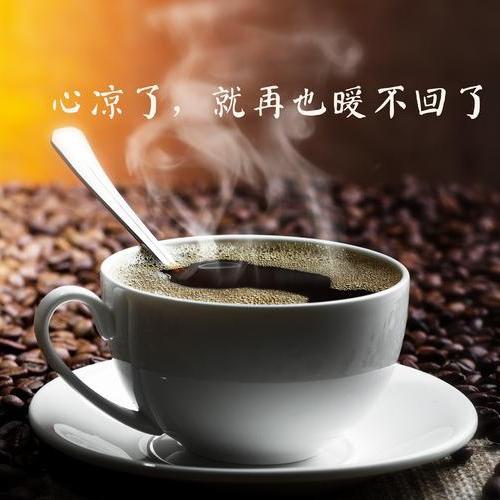 不吃素的羊😋