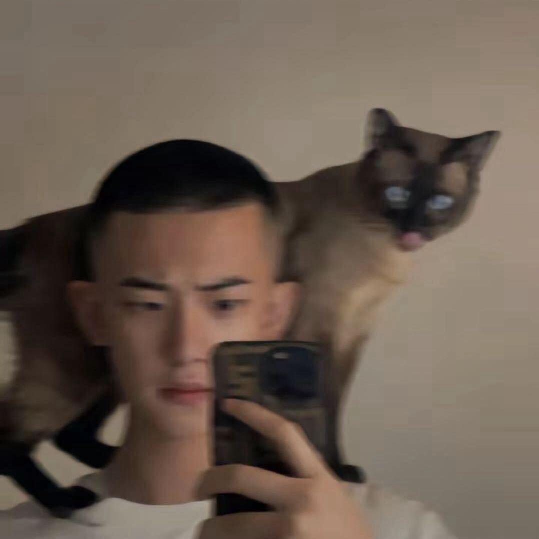 白羊阳