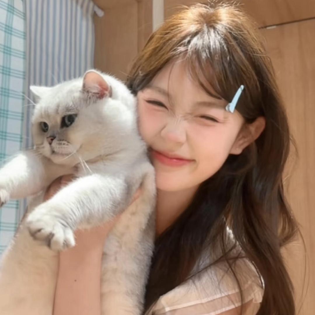 玲🌸