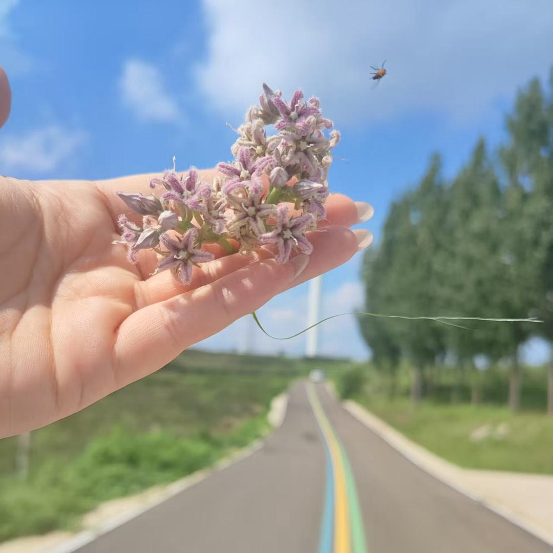 我有一个小面包～🌸