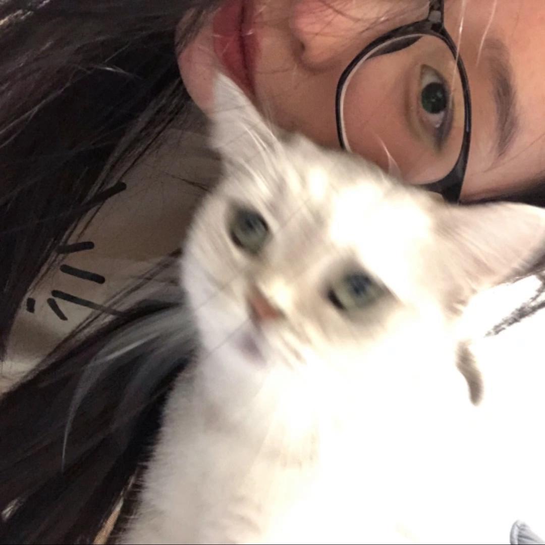 然不胖胖