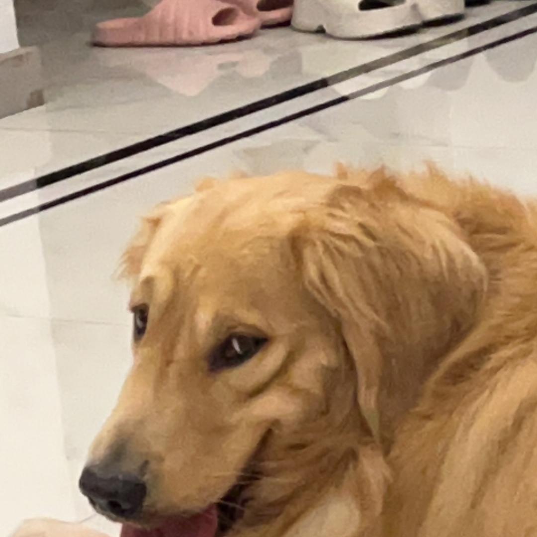MENGKOURUO蒙口若羽绒