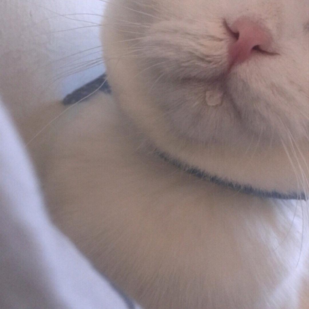 英雄*♥
