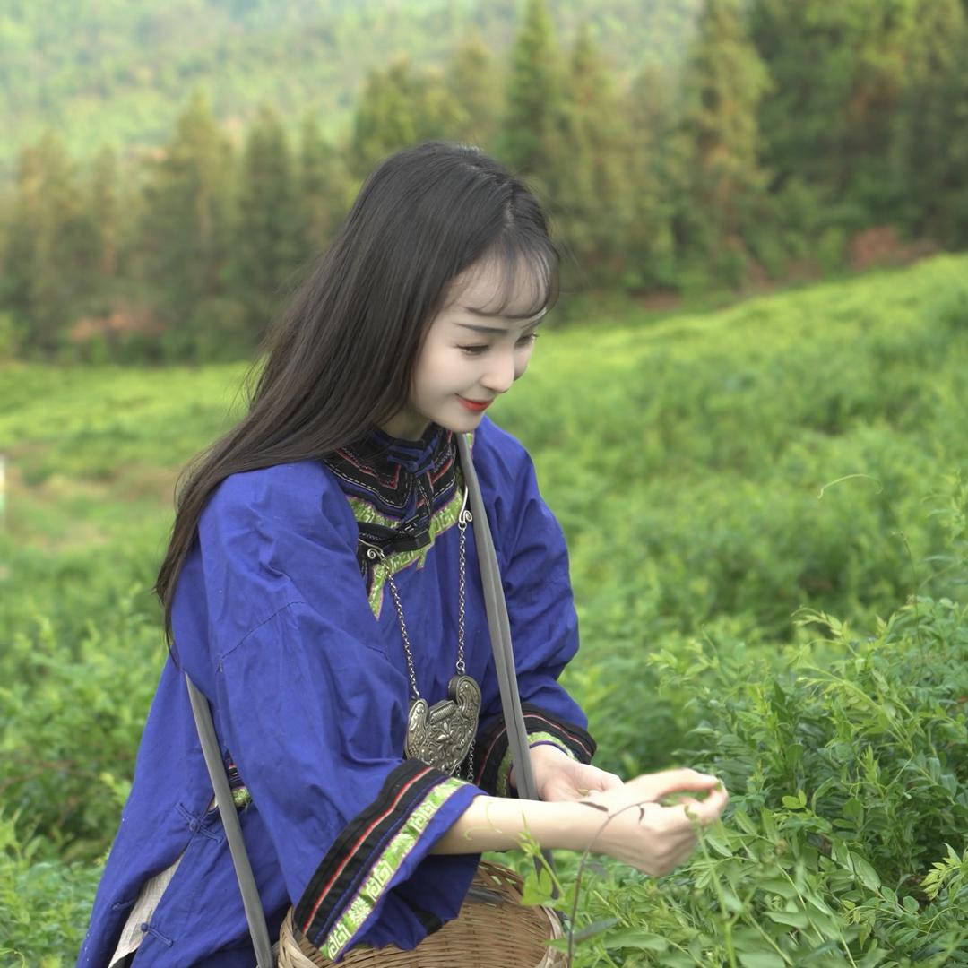 一界一仙（张家界莓茶）