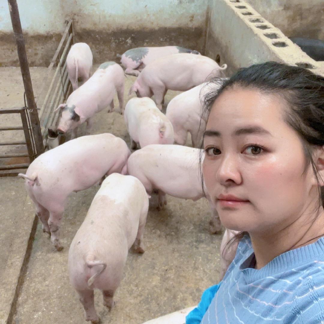 云南高山妹
