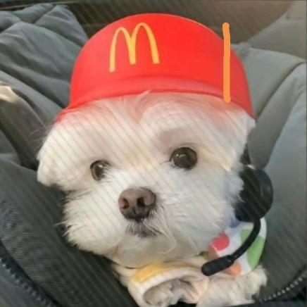 反感ㅤ