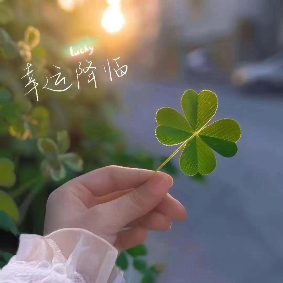 初🌻心