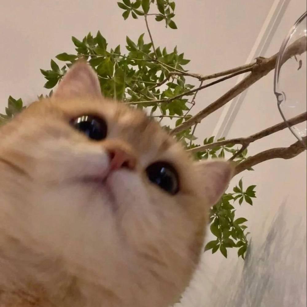 耿发财