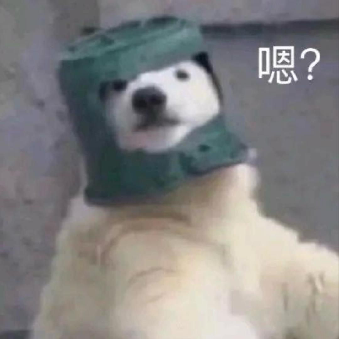 什么