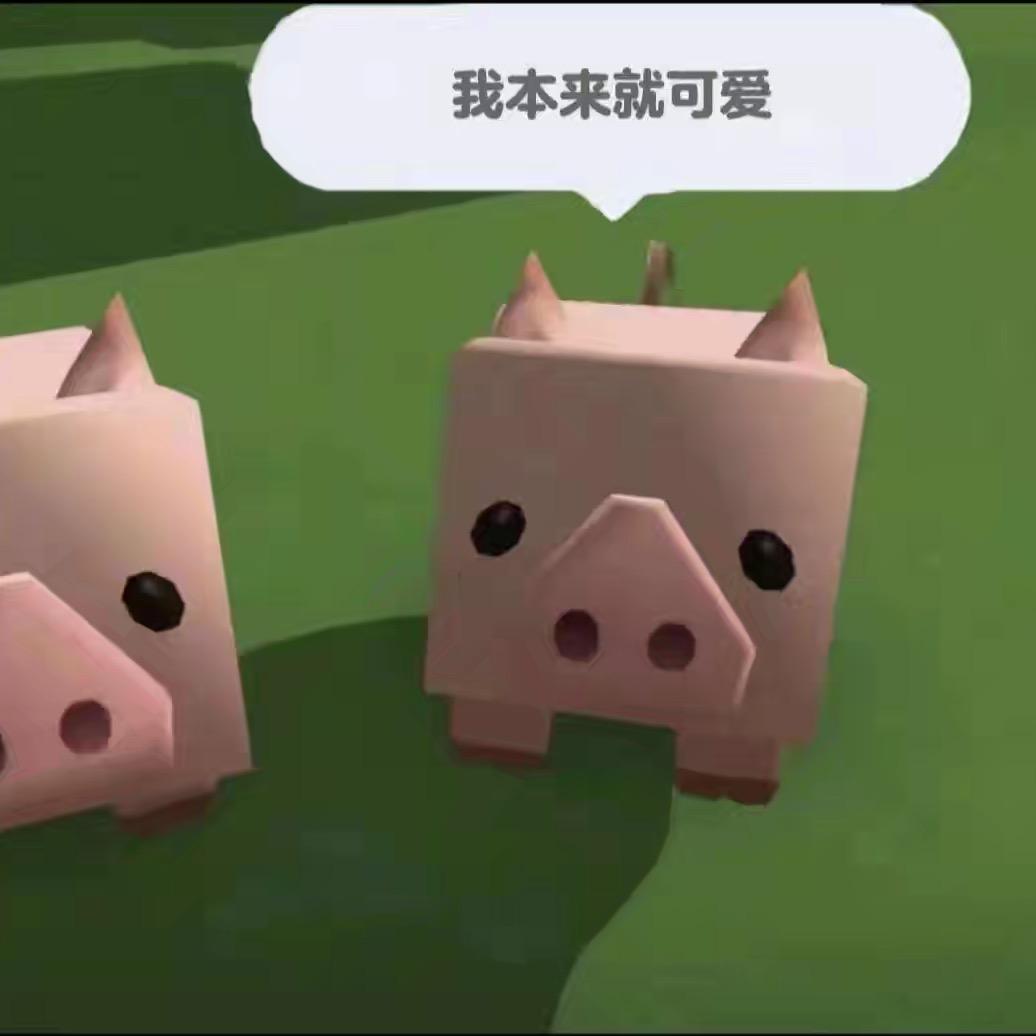 leave头像