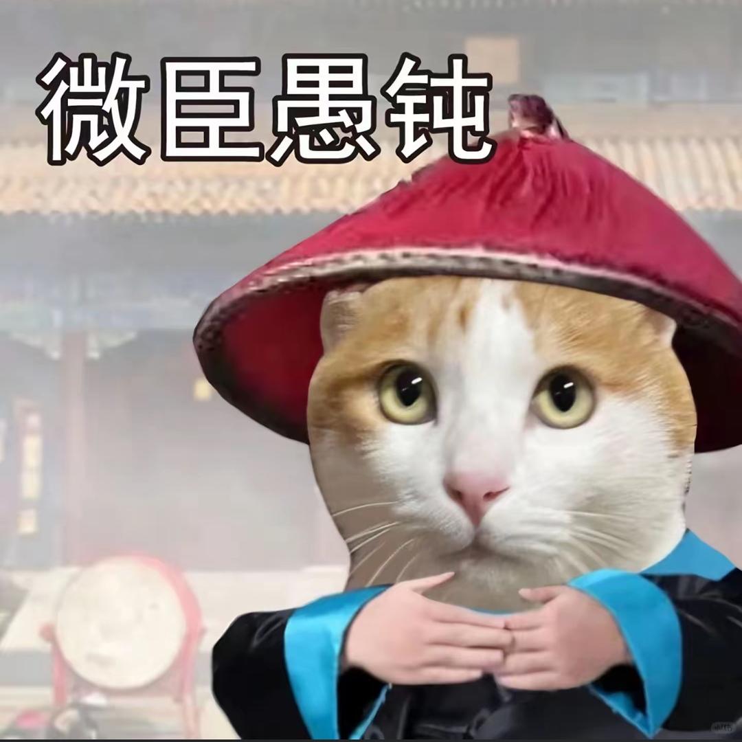 尚家装饰-俞晨陇