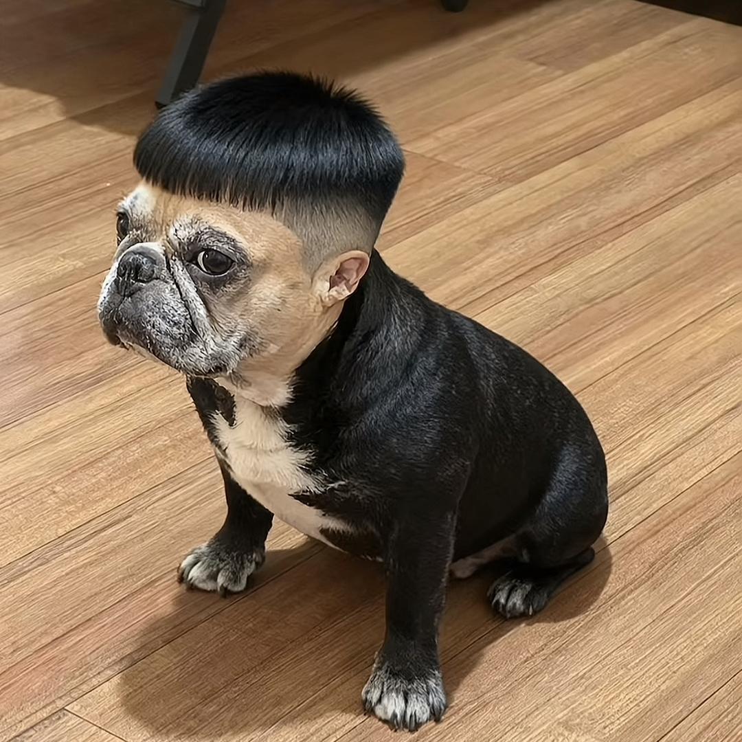思钱想厚