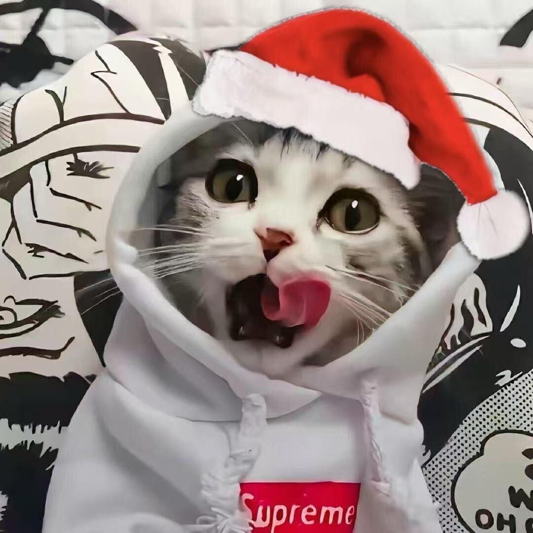 TH.