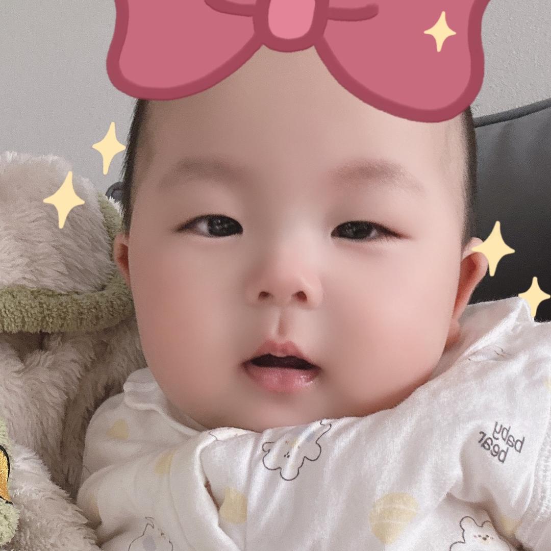 树林里的小可爱