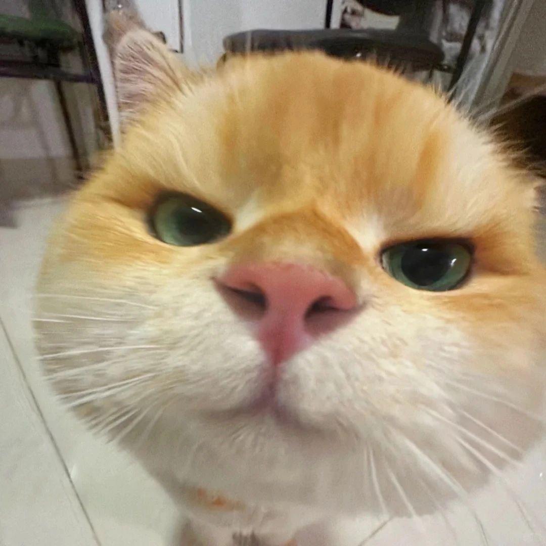 小火日立