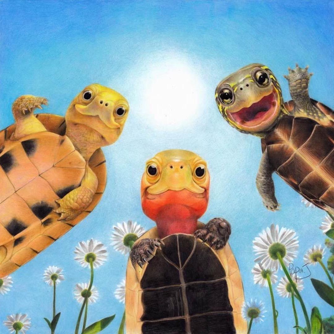 富甲龟业