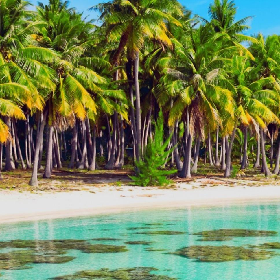 森风集团滨海崇海汽车有限公司