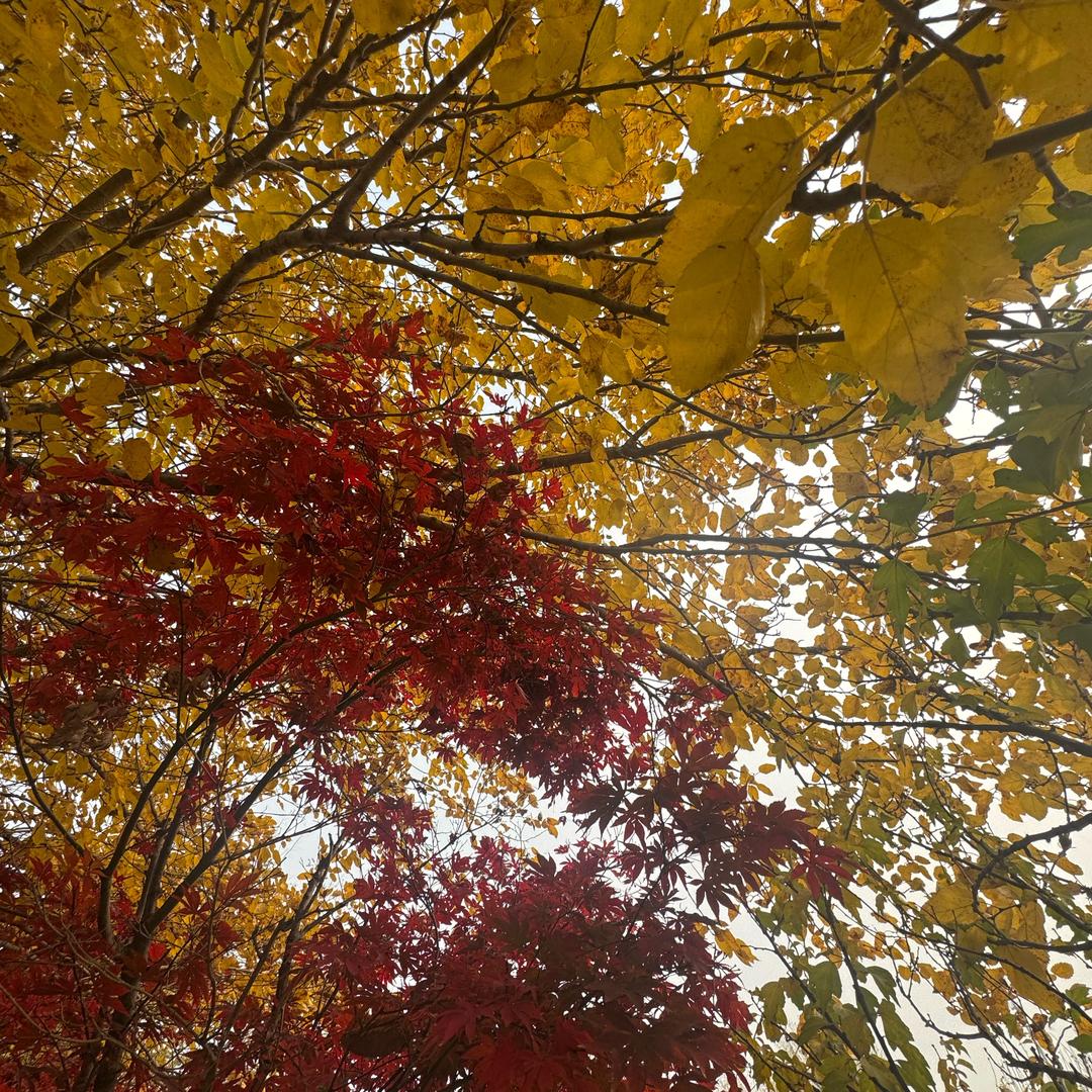 恒达建材批发王哥