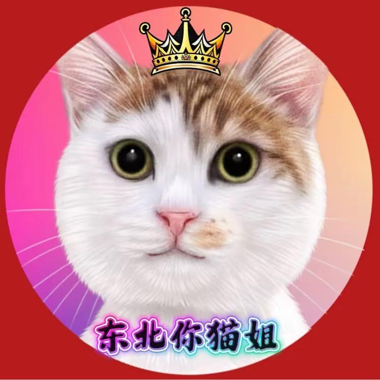 东北你猫姐🐱
