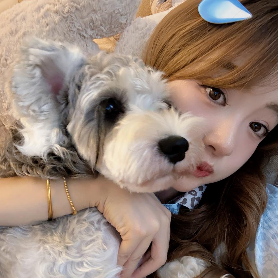 琼琼不琼🌟