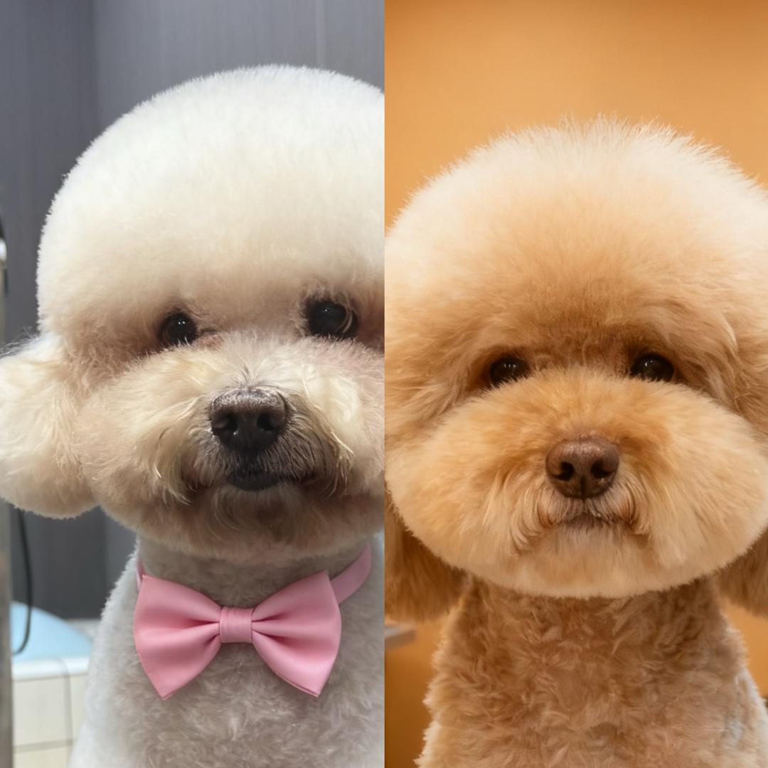 🆑co阳。ᶜˡᵒᵘ