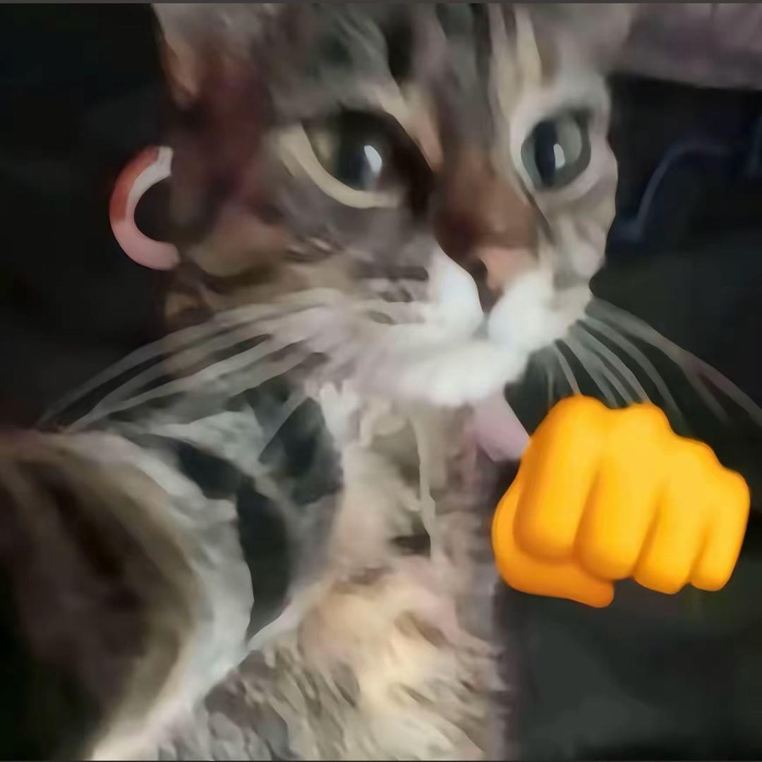 🐱