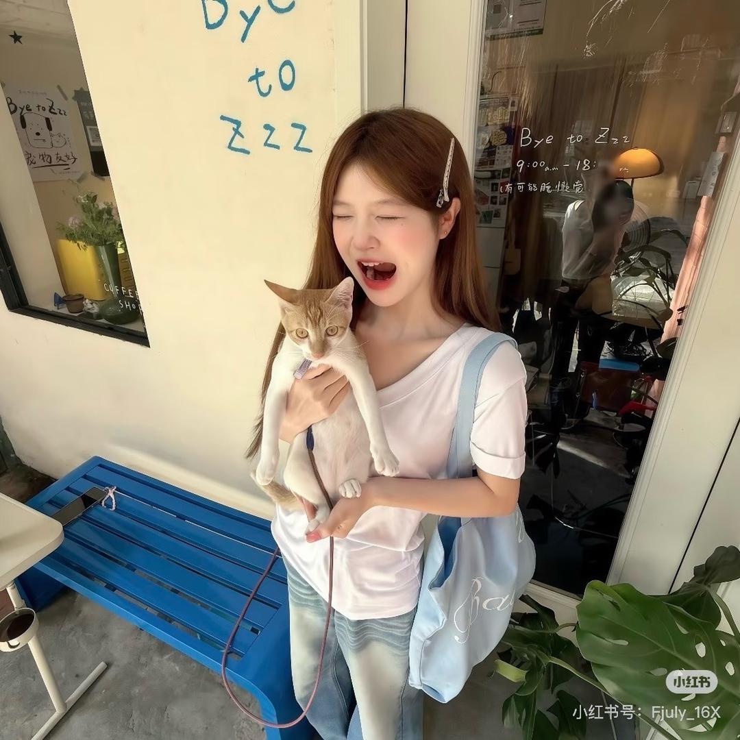 4kitty