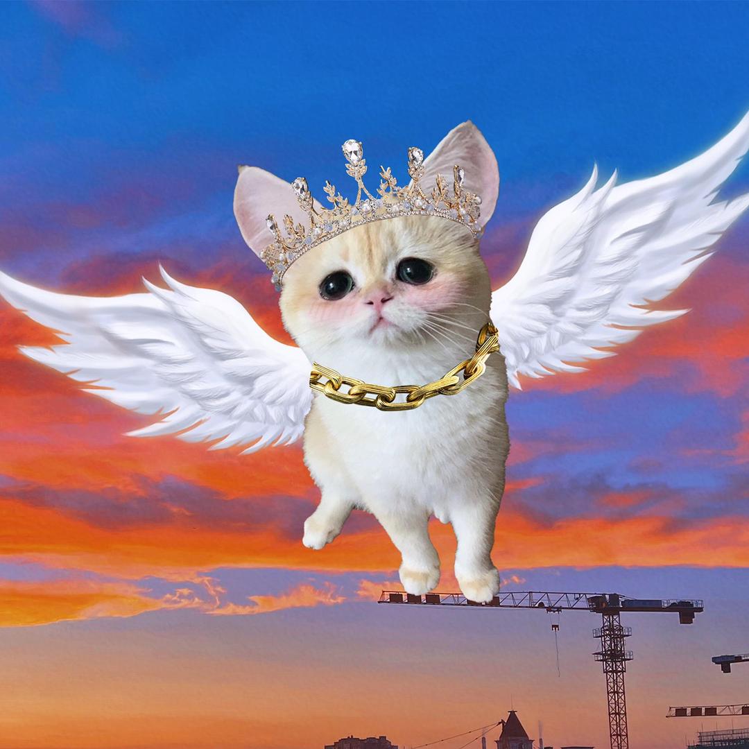 重生之我开了个网店