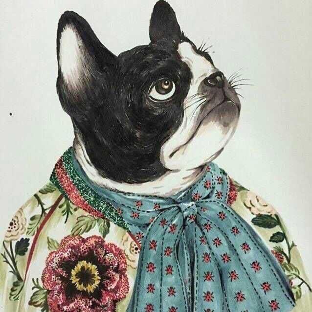 這馬兒㑹飛✈️