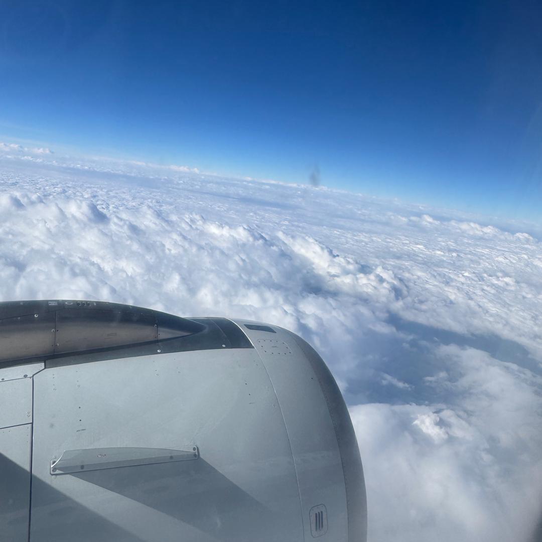 阿瑶缇琥工作室