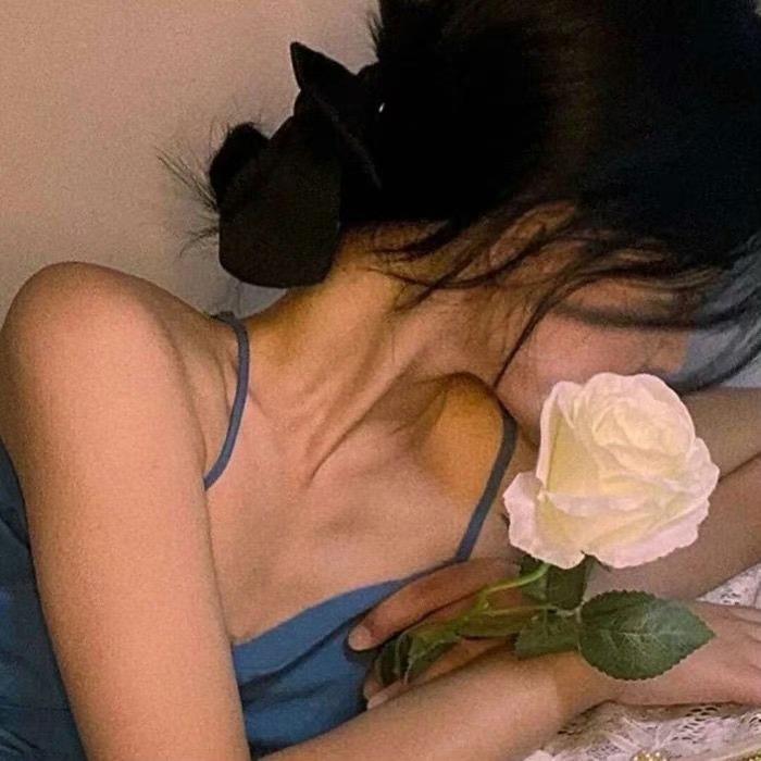 蟹蟹萌宠好物