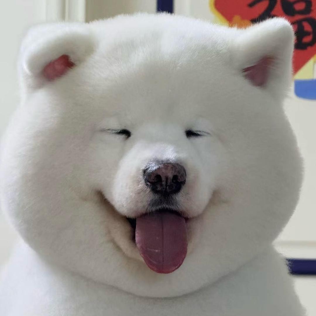 屁屁猪🐷