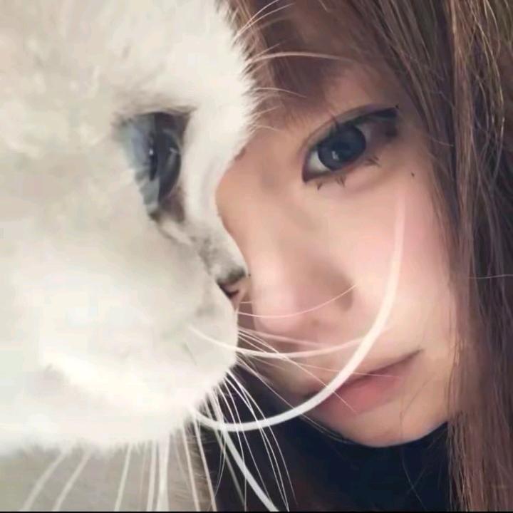 倪小姐