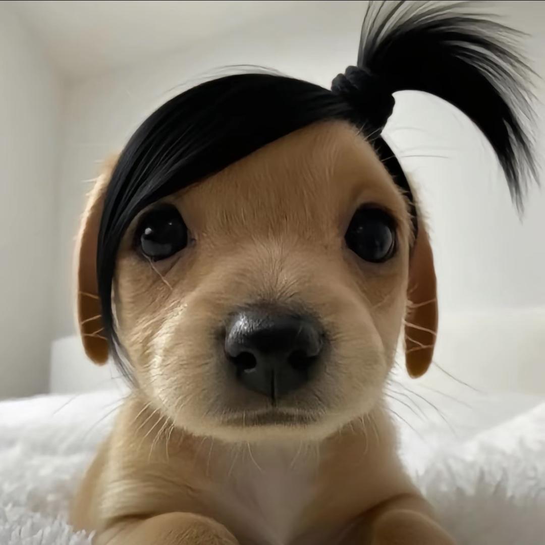阿也_