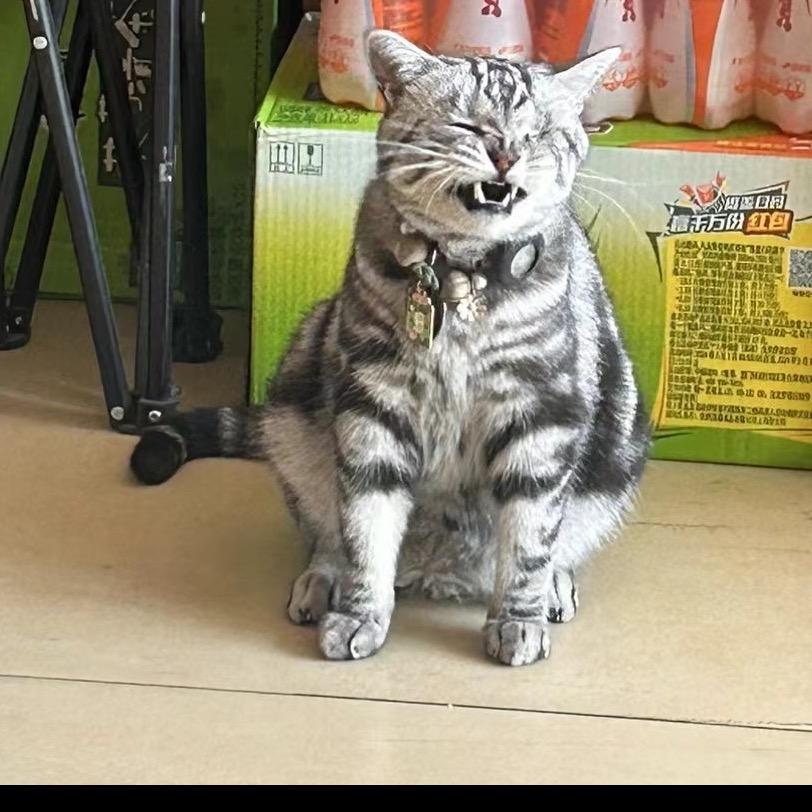倔驴