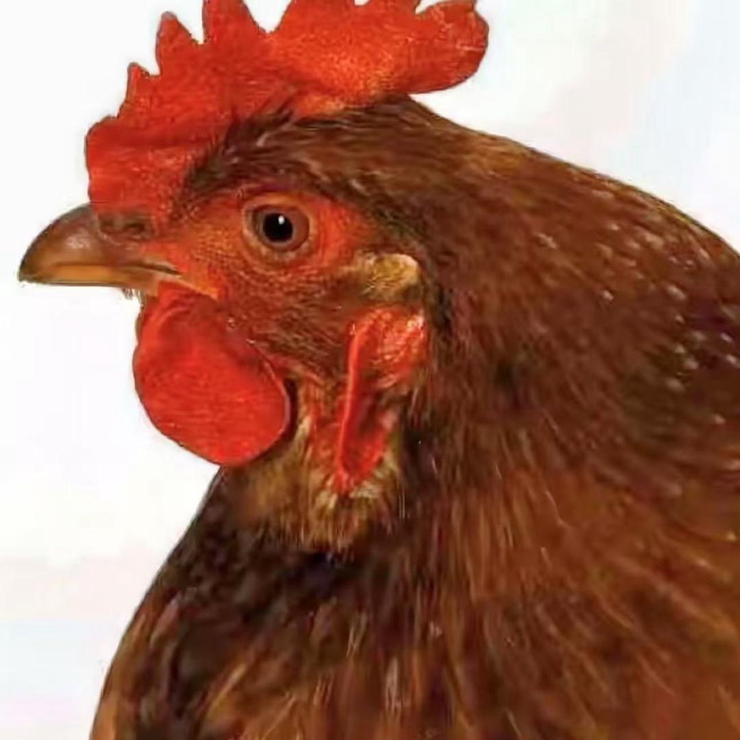 小保