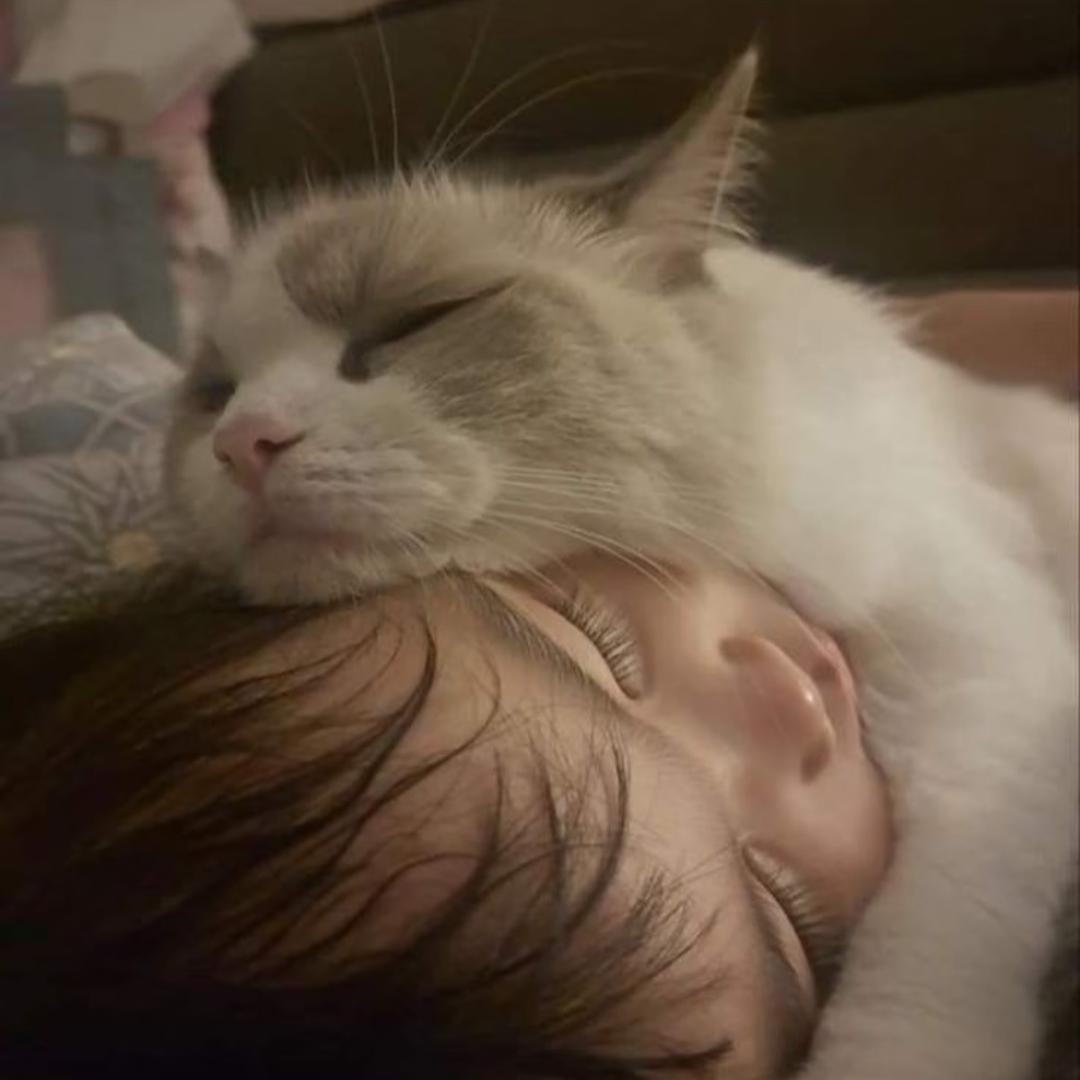 睡觉..