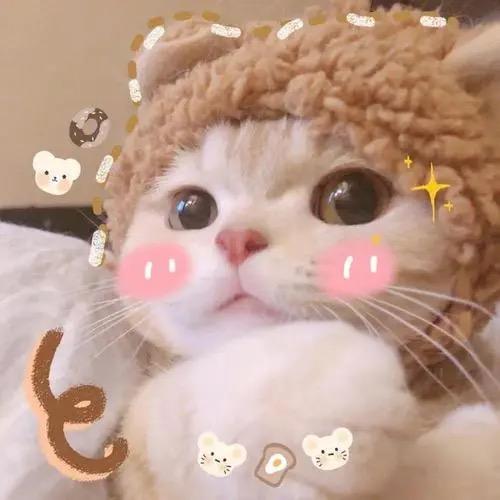 从未止步✨