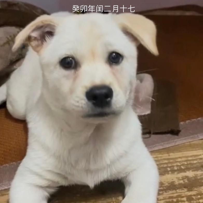 阿零