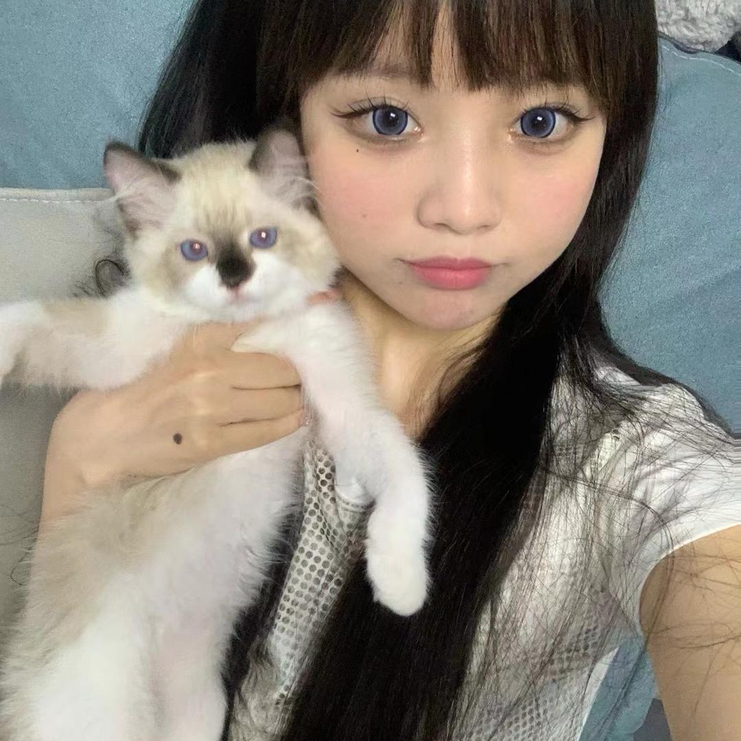 香葱鸡片