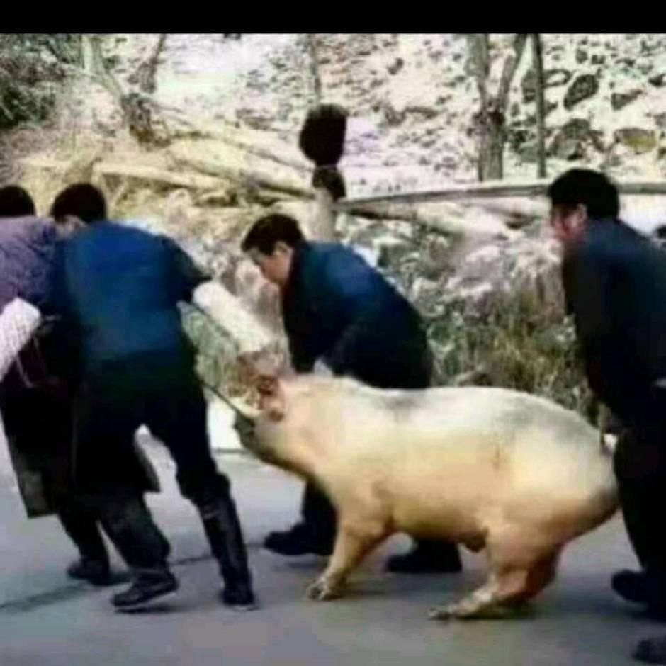 奋斗中男人